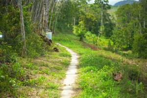 BIB: 
                            <button type="button" onclick="openModal(21744946)" class="btn btn-primary btn-sm float-right btn-popup" data-toggle="modal" data-target=".modal-high-quality">
                        <i class="fas fa-shopping-cart"></i> Add to Cart
                    </button>
                                            <button type="button" onclick="isThisMe(21744946, true)" class="btn btn-success btn-sm float-right btn-popup btn-isme hidden" data-toggle="tooltip" data-placement="bottom" title="นี่คือรูปของคุณใช่ไหม คลิกที่นี่เพื่อเอาเข้าอัลบั้ม">
                        <i class="fas fa-plus"></i> Add to album
                    </button>
                    <button type="button" onclick="isThisMe(21744946, false)" class="btn btn-warning btn-sm float-right btn-popup btn-isnotme hidden">
                        <i class="fas fa-ban"></i> Remove from album
                    </button>